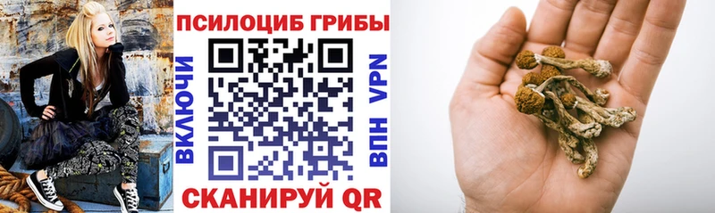 Купить закладки  Балабаново  Псилоцибиновые грибы мухоморы 